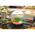Mesa de centro de acuario mini tanque de peces de fibra de vidrio